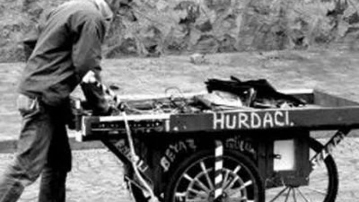 Kavak Hurdacı